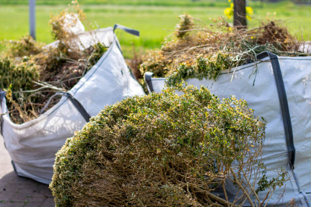 Best Affordable Junk Removal Services  in Martins Ferry, OH